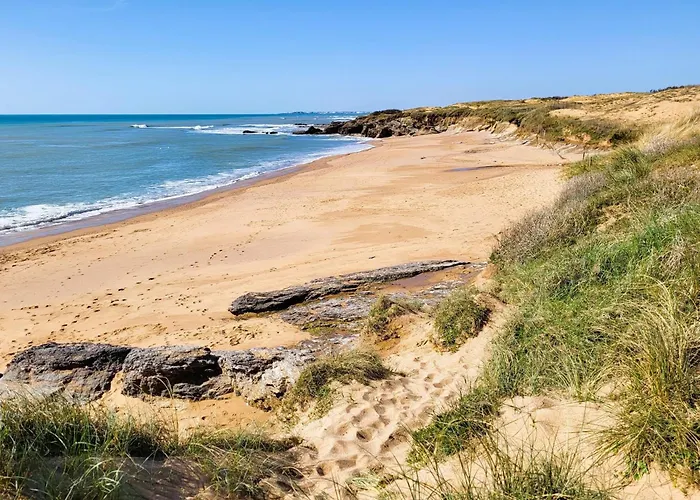Maison Charmante Proche Avec Jardin, Veranda Et Wifi - Quartier La Sauzaie - Fr-1-231-232 Holiday home